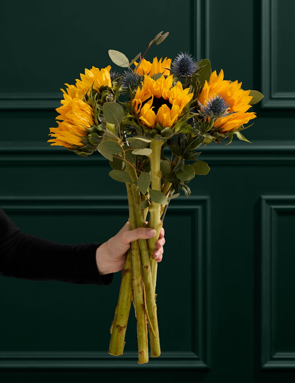 Sunflower Abundance in Vase