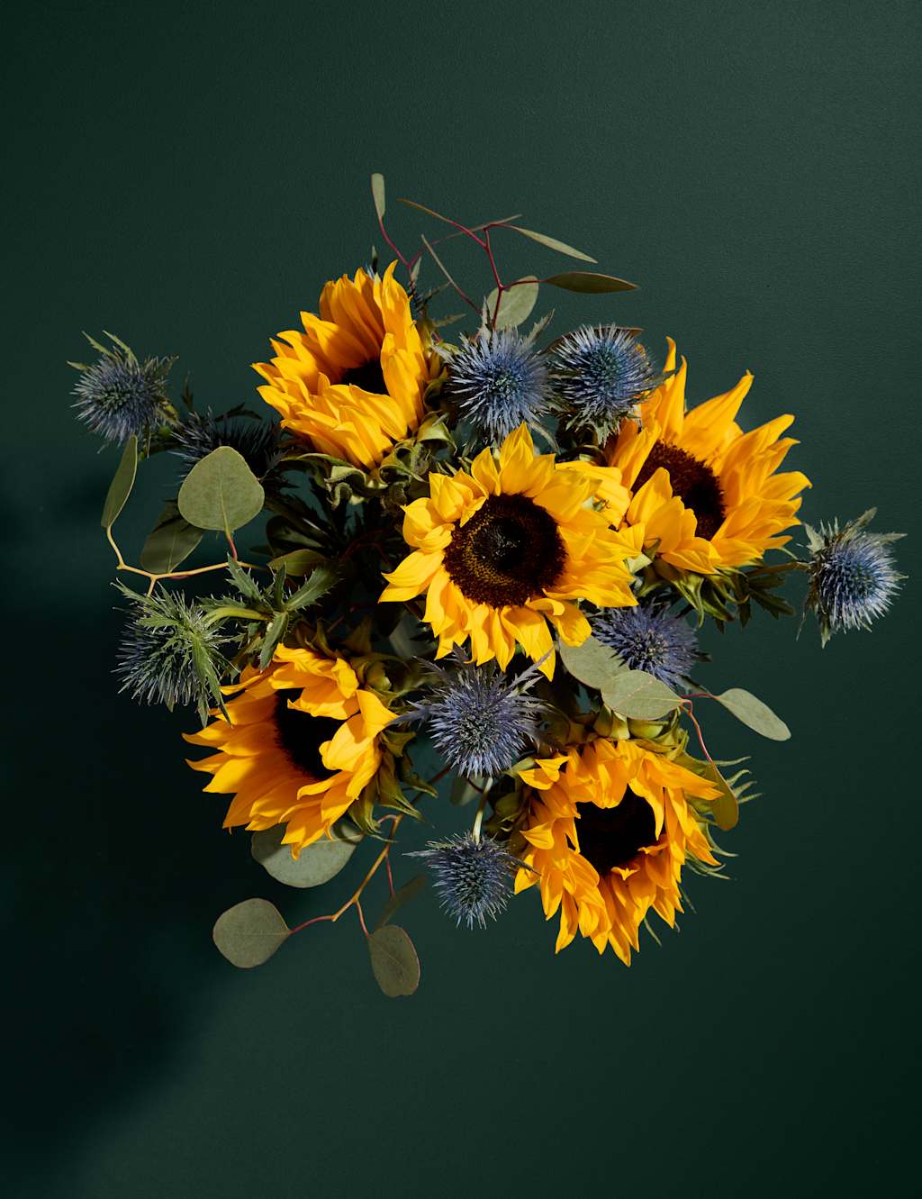 Sunflower Abundance in Vase