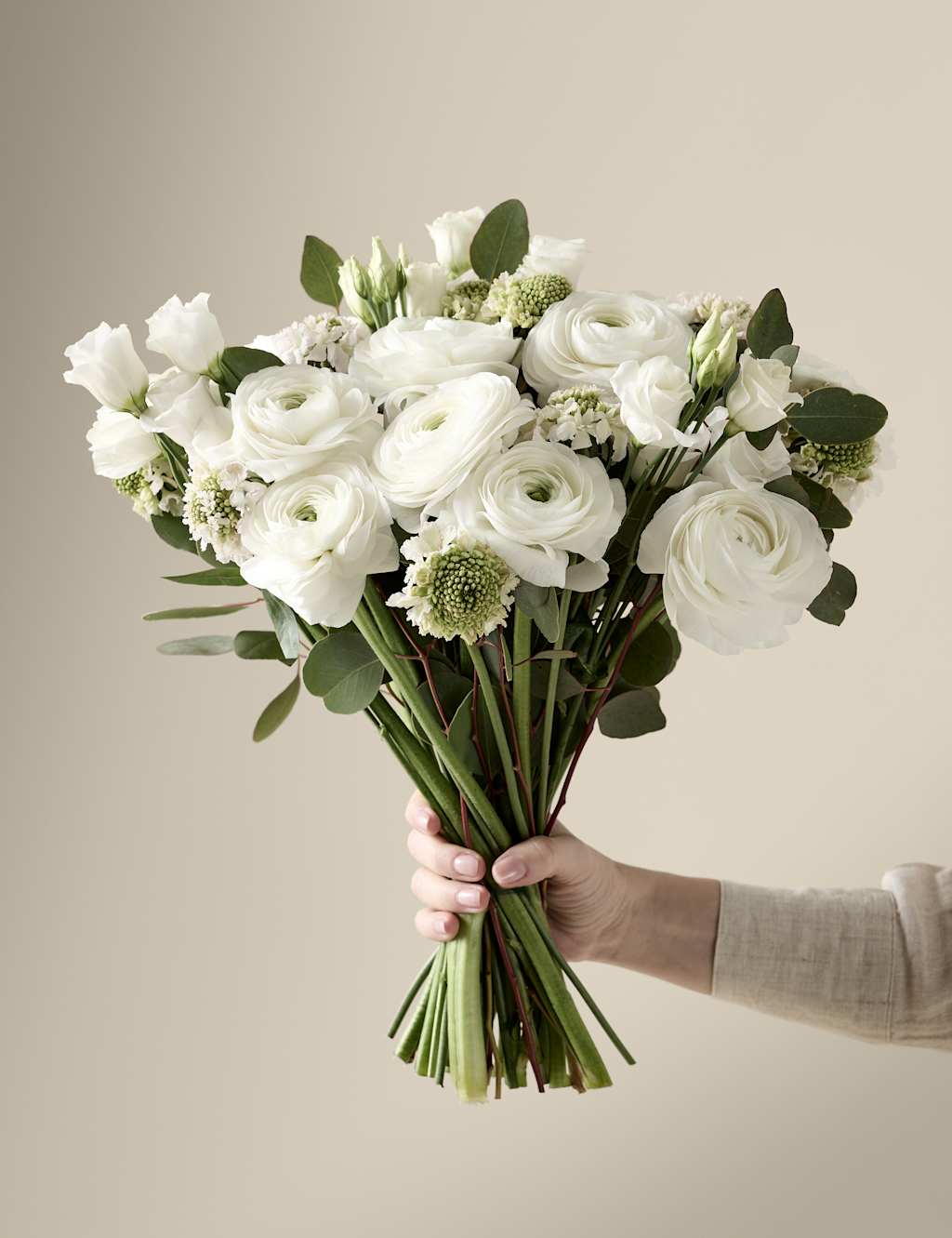 M&S X Kelly Hoppen Kelly Hoppen Ranunculus Bouquet