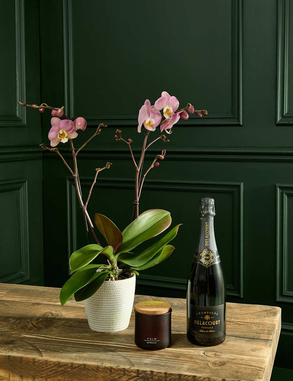 M&S Flower Market Lower Staked Pink Orchid with Champagne & Calm Candle image