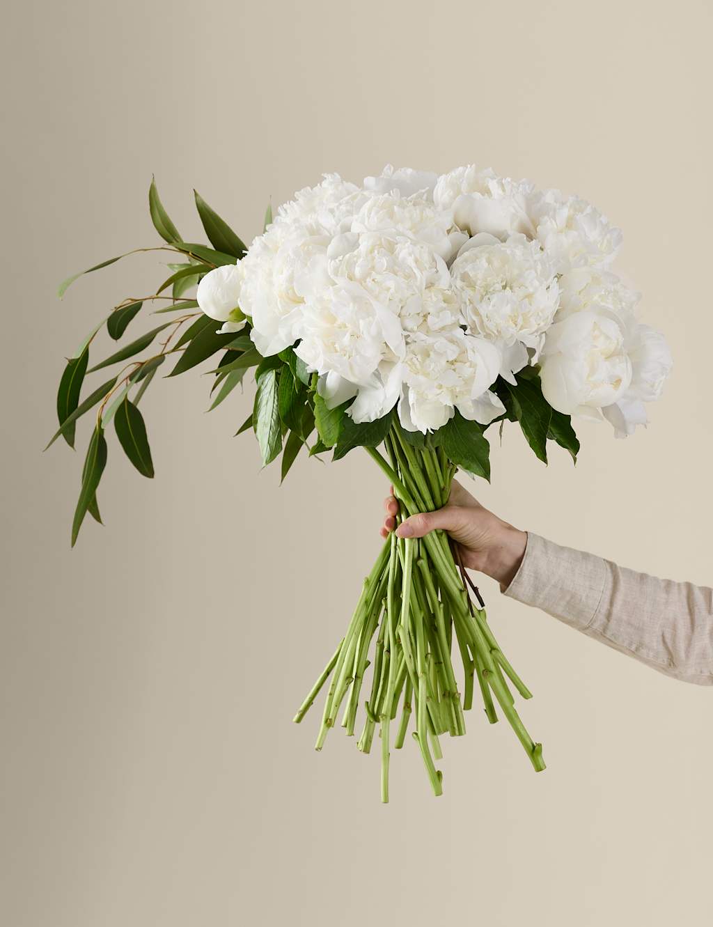 M&S X Kelly Hoppen Bountiful Peony Bouquet image