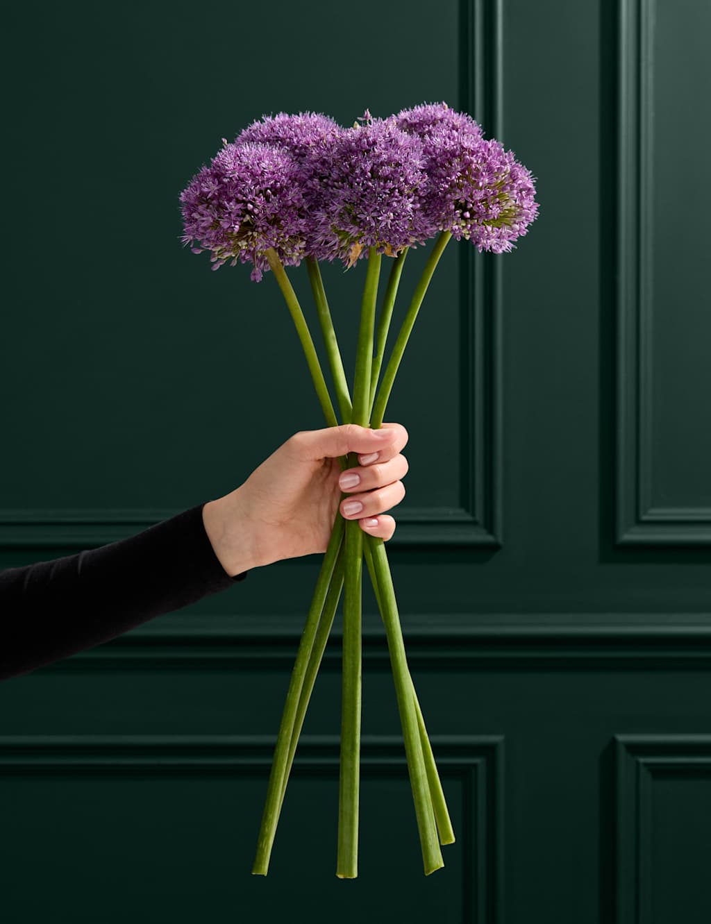 M&S Flower Market King Allium Bouquet image