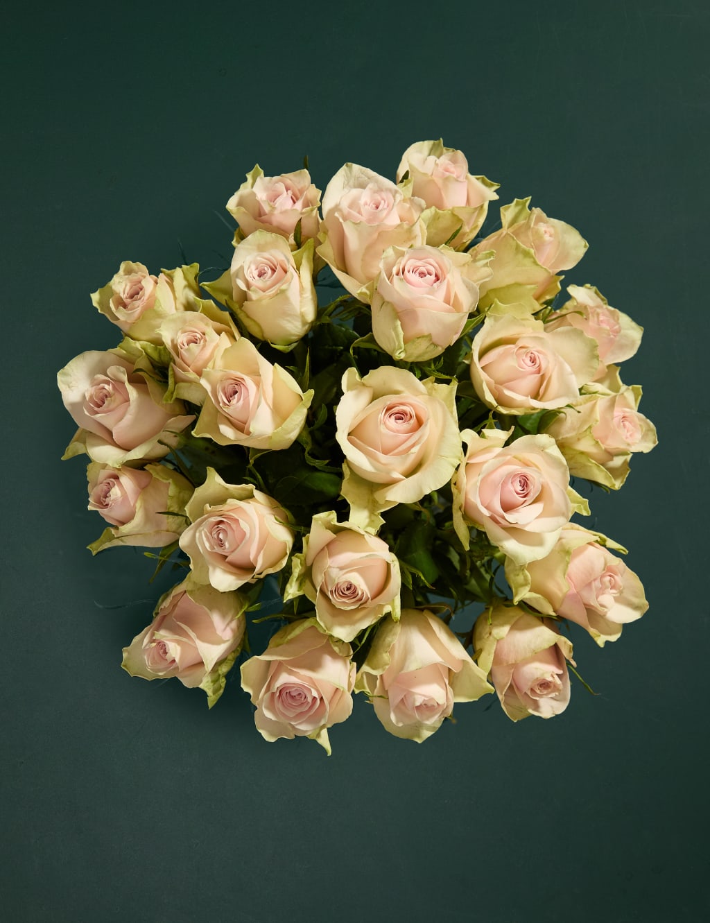 Blush Rose Abundance Bouquet