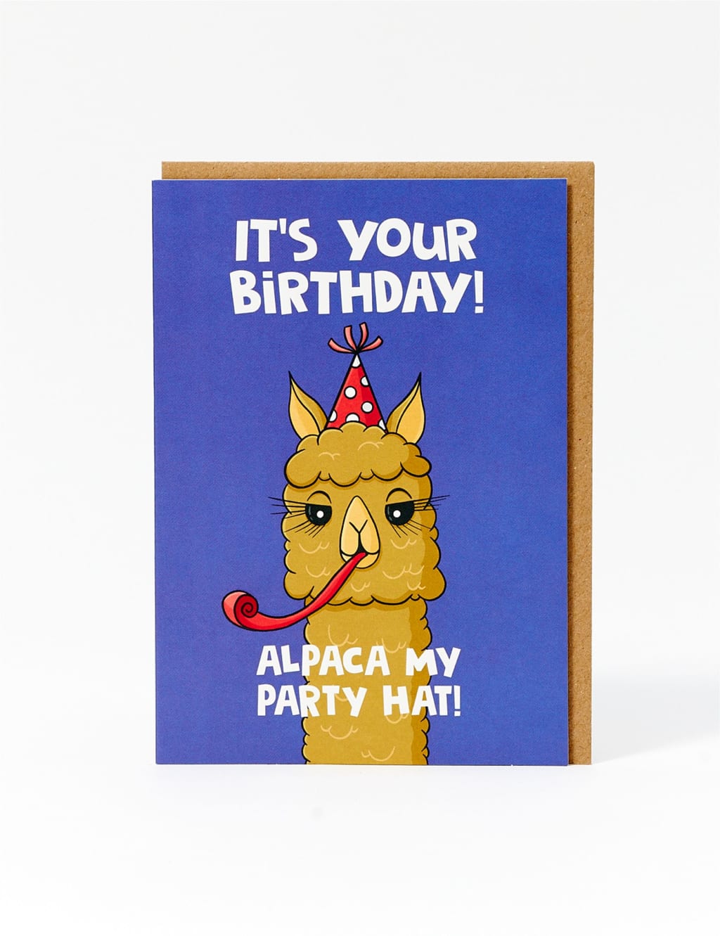Alpaca My Party Hat Birthday Card