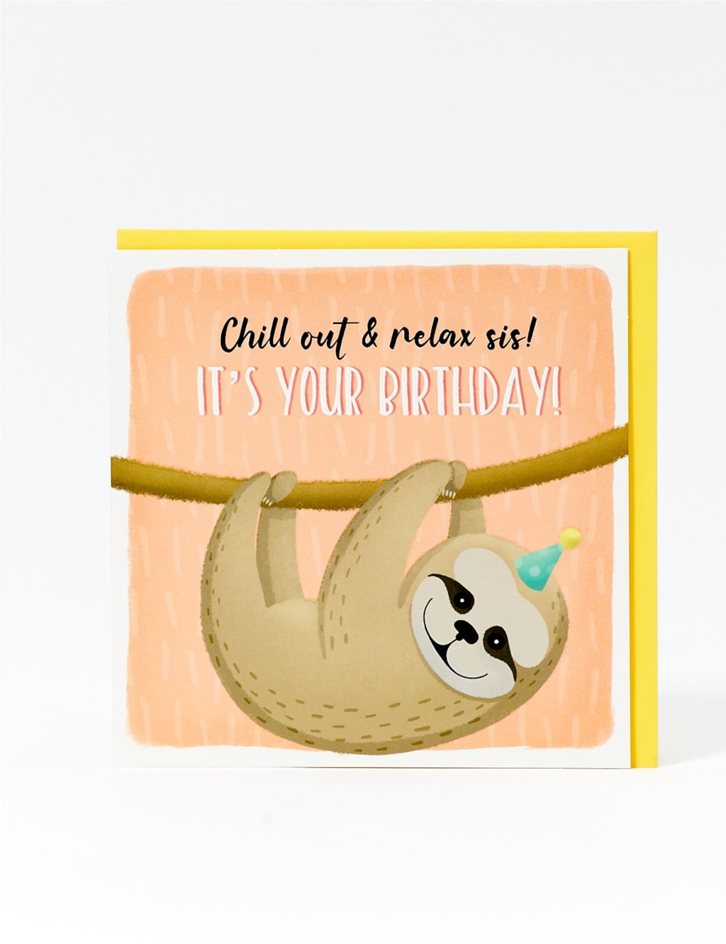 Chill Out Sloth Birthday Card For Sister