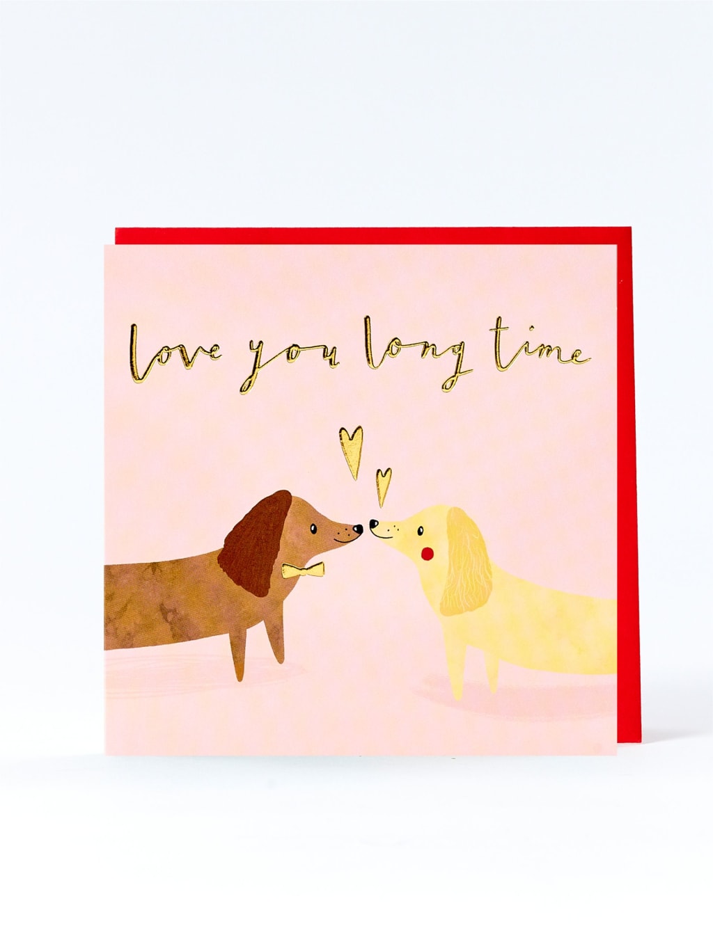 Sausage Dogs Anniversary Card