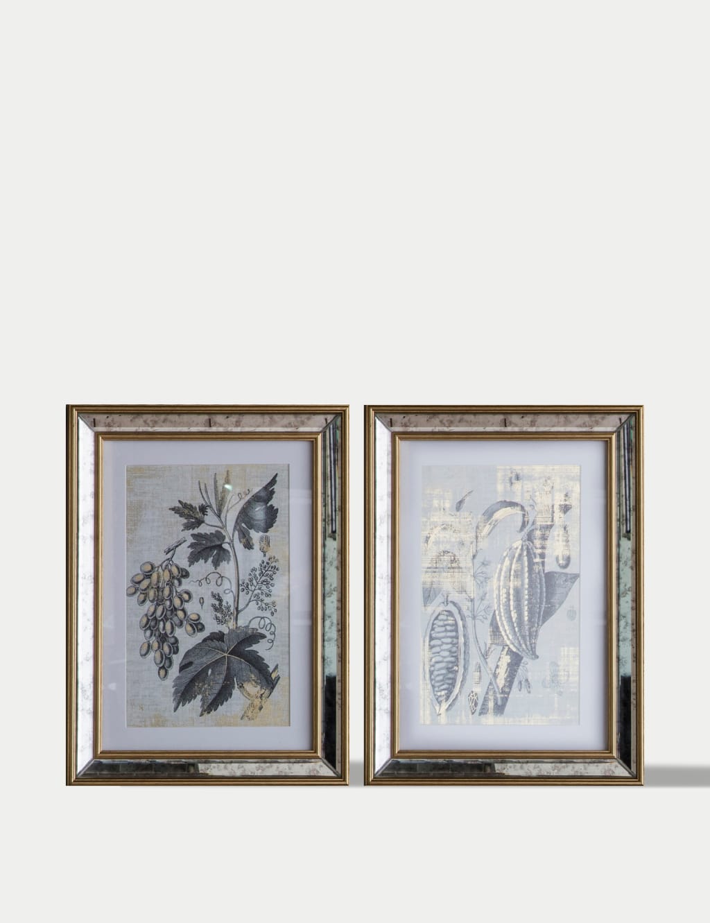 Set of 2 Braun Botanical Rectangle Framed Art