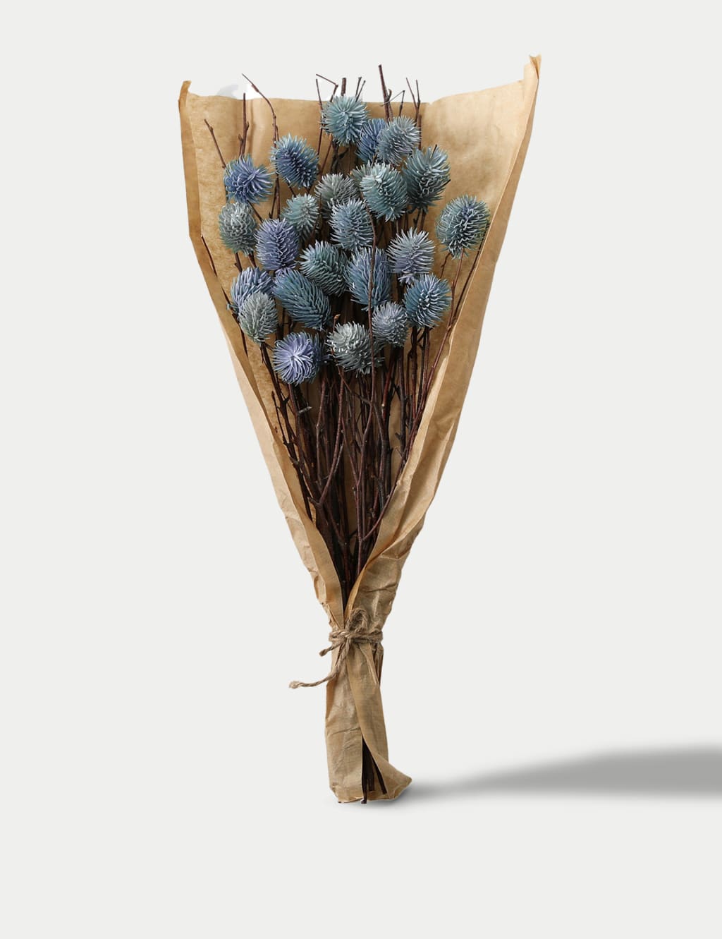 Gallery Direct Dried Thistle Bouquet Blue
