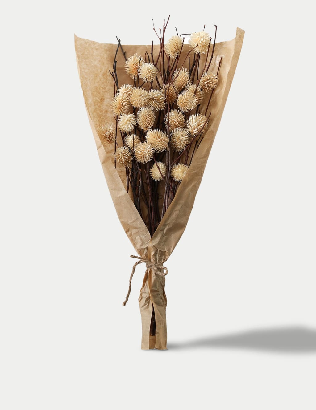 Gallery Direct Dried Thistle Bouquet Natural