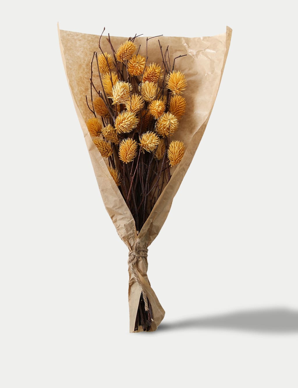 Dried Thistle Bouquet