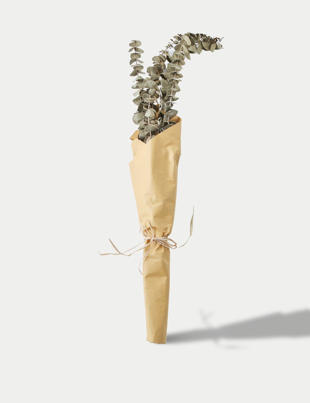 Gallery Direct Dried Eucalyptus Bouquet Green