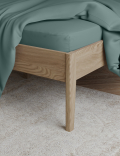 Egyptian Cotton 230 Thread Count Fitted Sheet
