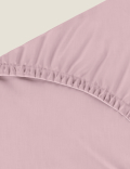 Egyptian Cotton 230 Thread Count Fitted Sheet