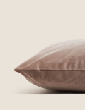 Velvet Cushion