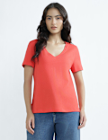 Pure Cotton V-Neck Plain T-Shirt
