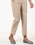 Cotton Mix Plain Regular Fit Trouser