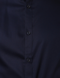 Limited Plain Shirt