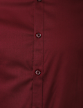 Limited Plain Shirt