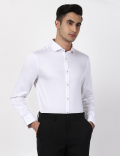 Limited Plain Shirt