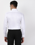 Limited Plain Shirt