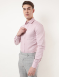 Pure Cotton Plain Spread Collar Shirt
