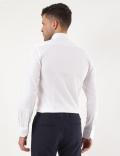 Pure Cotton Plain Spread Collar Shirt