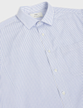 3pk Easy Iron Long Sleeve Shirts