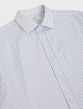 3pk Easy Iron Spread Collar Shirts