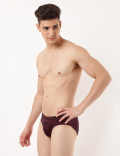 Pack of 5 Pure Cotton Regular Fit Briefs