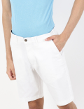 (Cotton Blend) Regular Fit Shorts