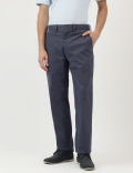 Regular Fit Pure Cotton  Plain Chinos