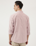 Pure Cotton Stripes Button Down Shirt