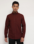 Pure Cotton Button Down Collar Shirt