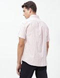 Pure Cotton Bengal Stripes Collared Shirt