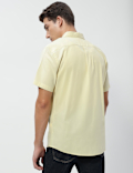 Pure Cotton Button-Down Collar Shirt