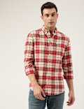 Regular Fit Pure Cotton Checks Button Down Collar Shirt