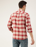 Regular Fit Pure Cotton Checks Button Down Collar Shirt