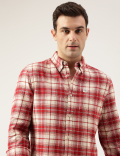 Regular Fit Pure Cotton Checks Button Down Collar Shirt