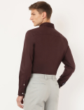 Pure Cotton Plain Button Down Collar Shirt