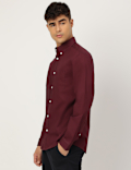 Pure Cotton Plain Collared Shirt