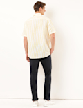 Linen Mix Striped Spread Collar Shirt