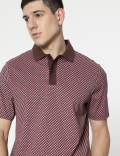 Pure Cotton Printed Polo T-Shirt