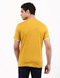 Plain Amber V Neck T-Shirt