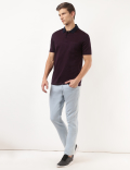 Pure Cotton Printed Polo Collar T-Shirt