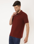 Pure Cotton Self Design Polo Collar T-shirt