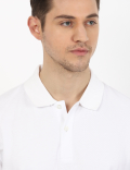 Pure Cotton Plain Polo Neck T-Shirt