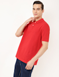 Pure Cotton Textured Polo Collar T-shirt