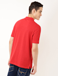 Pure Cotton Textured Polo Collar T-shirt