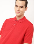 Pure Cotton Textured Polo Collar T-shirt