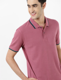 Polo T-Shirt with Tipping